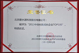 2013中關村高成長企業(yè)TOP100